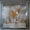 Стеклоблок декоративный Морские звезды и ракушки МТ-020-А 19x19x8 см.