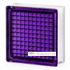 Стеклоблок сетка фиолетовый окрашенный изнутри Vitrablok 19х19х8